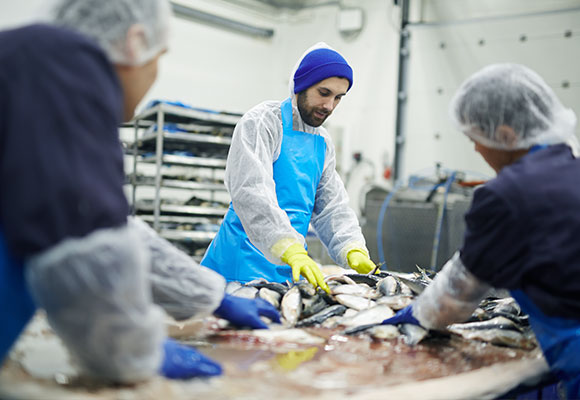 anti-corrosive-casters-for-seafood-factory